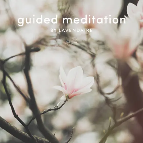 Self-Love-Guided-Meditation-mp3-image